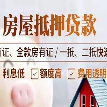上林贷款中介公司新渝启服要的资料