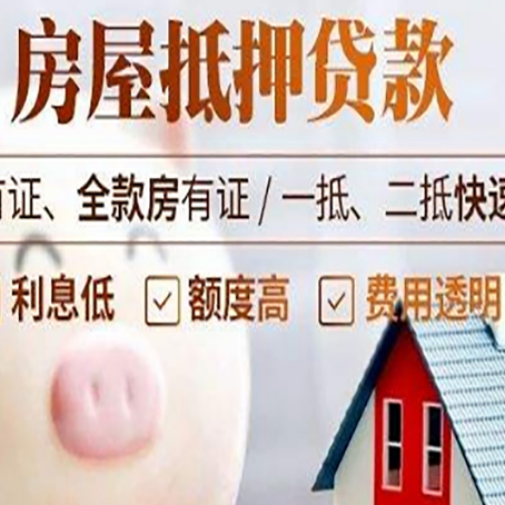 上林贷款助贷公司新渝启服成立时间久